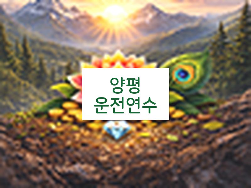 양평운전연수 후기