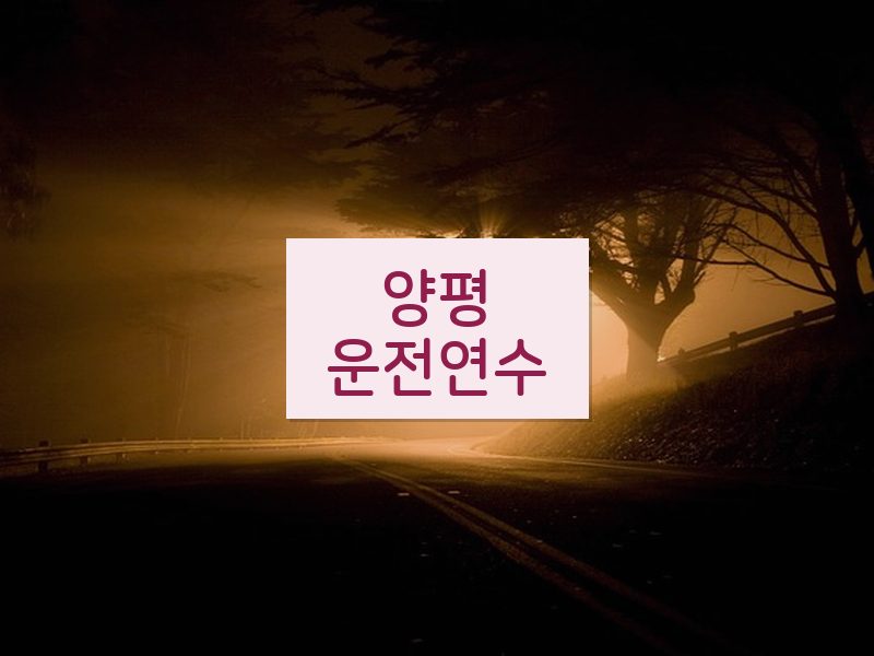 양평운전연수 후기