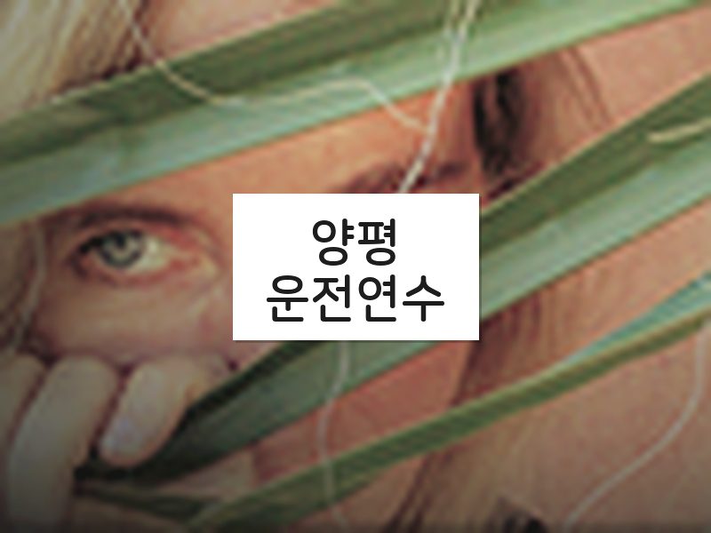 양평운전연수 후기
