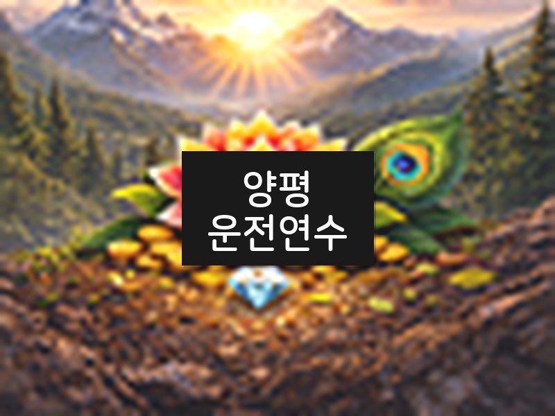 양평운전연수 후기