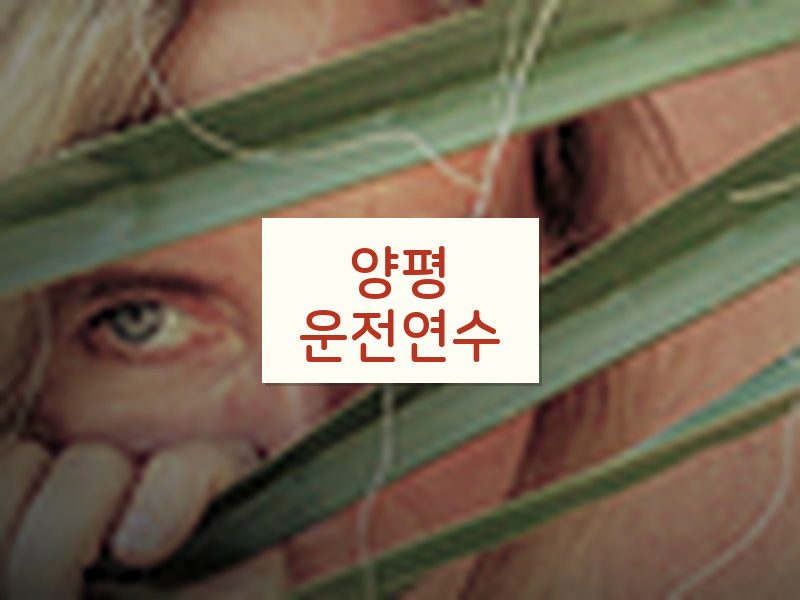 양평운전연수 후기