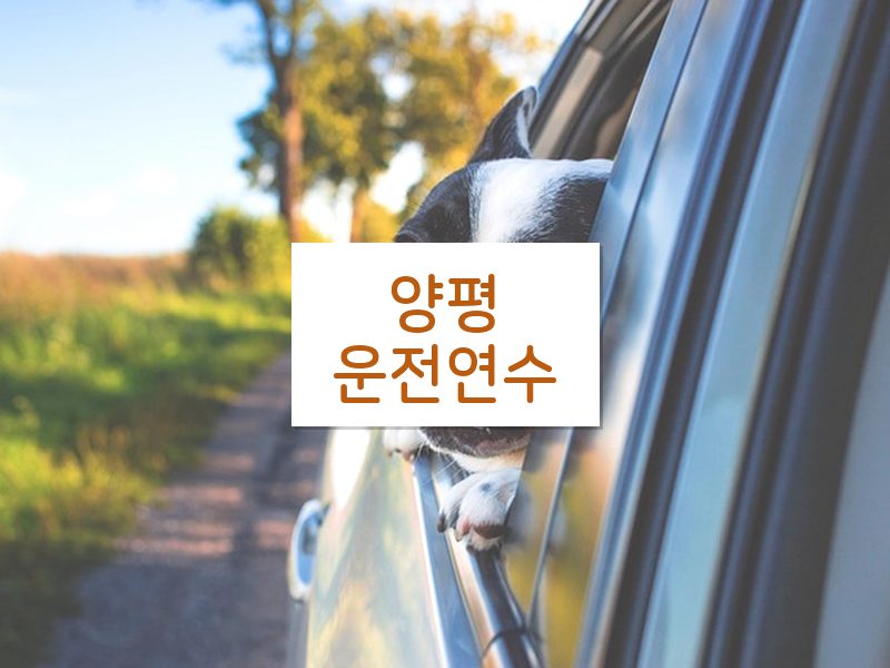 양평운전연수 후기