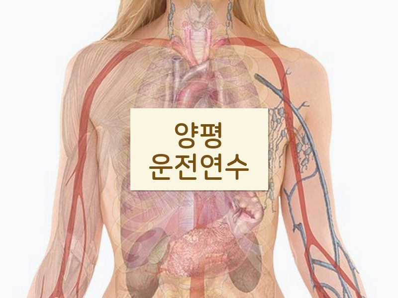 양평운전연수 후기