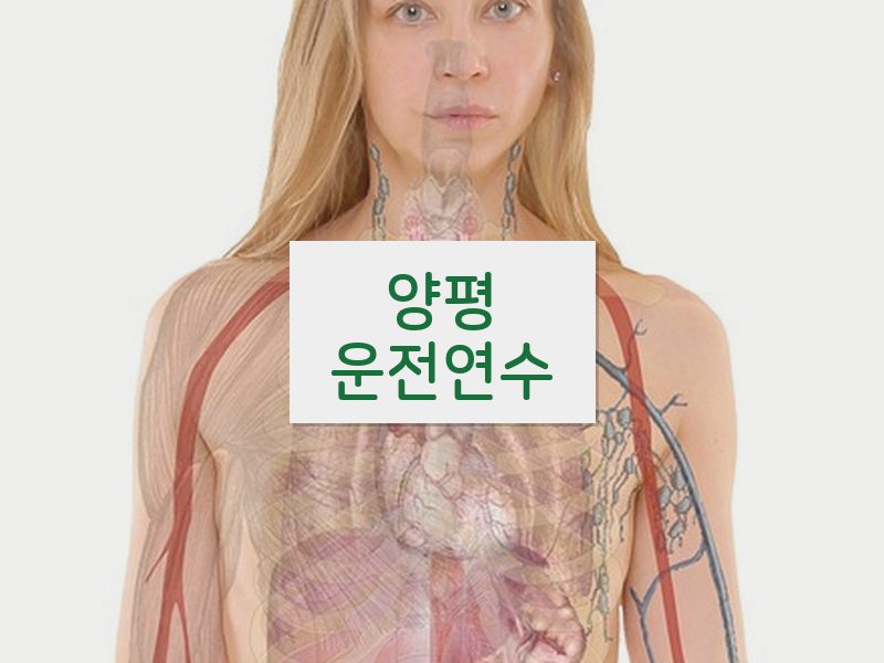 양평운전연수 후기