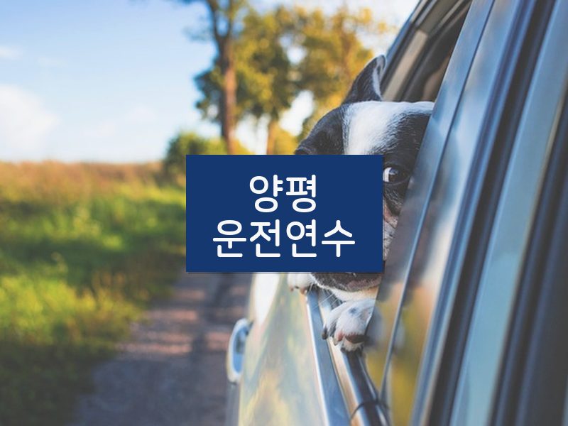 양평운전연수 후기