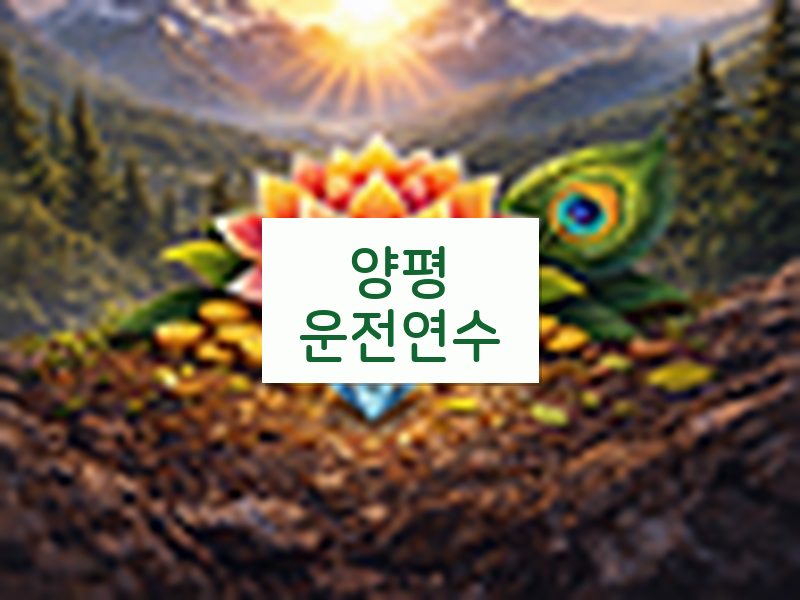 양평운전연수 후기