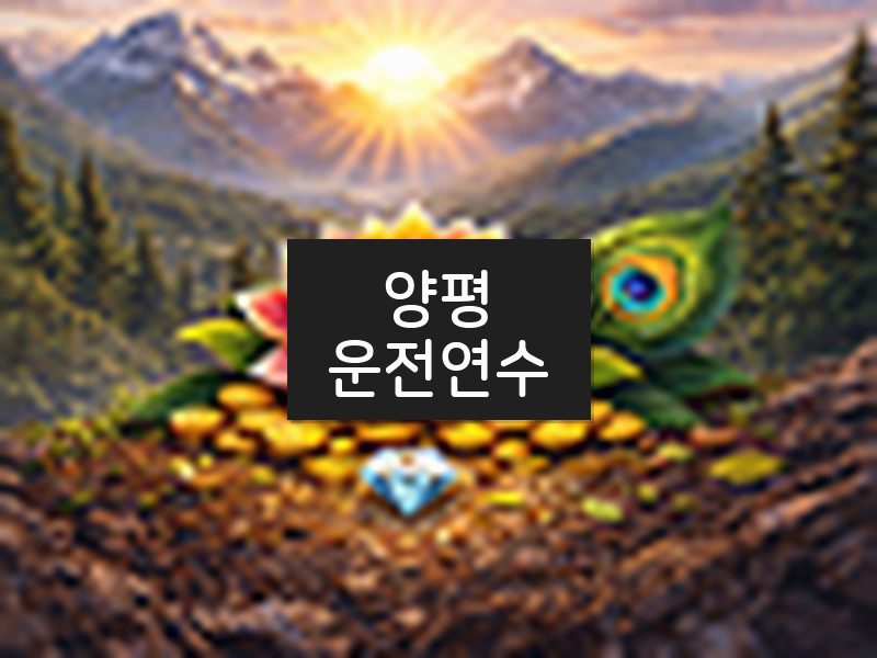 양평운전연수 후기