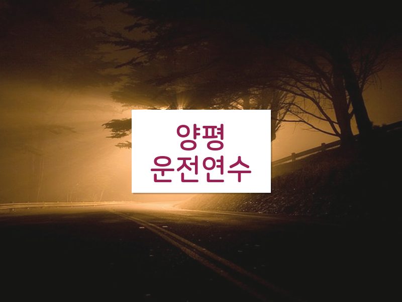 양평운전연수 후기