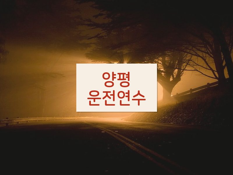 양평운전연수 후기