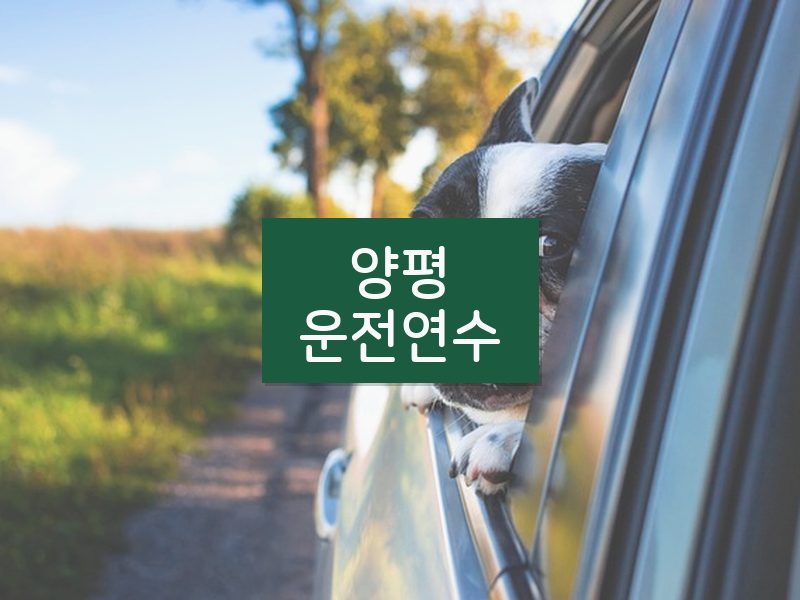 양평운전연수 후기
