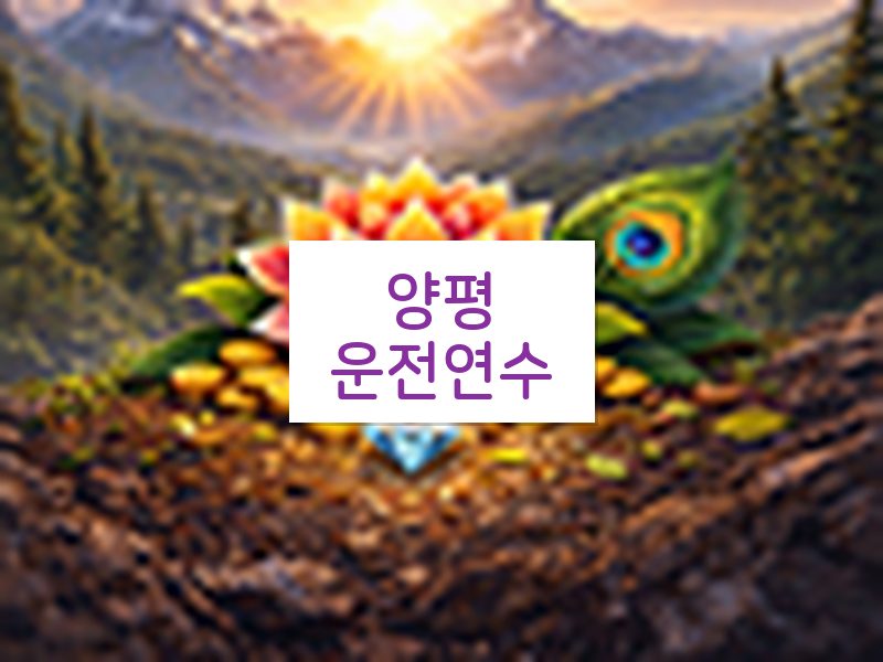 양평운전연수 후기