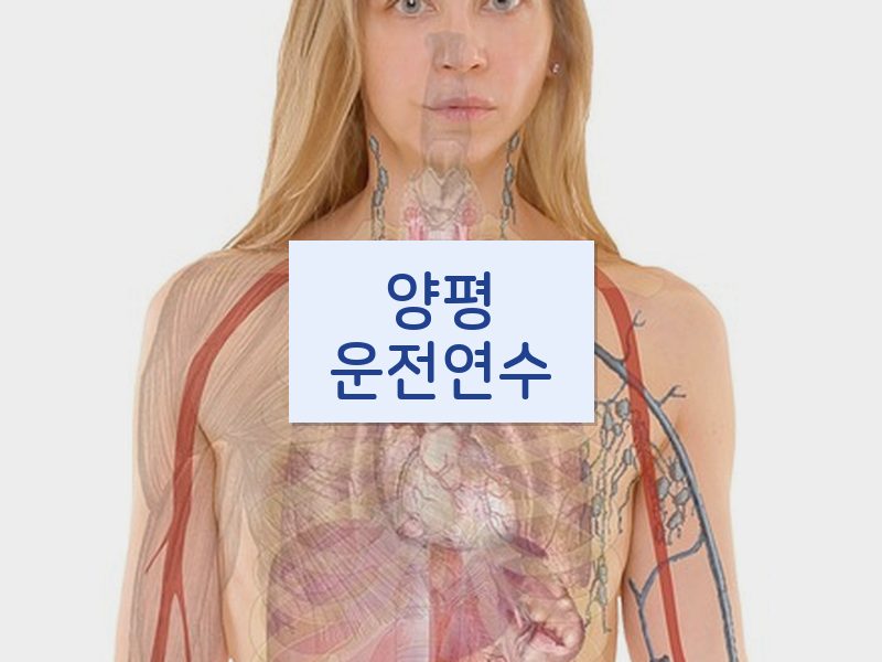 양평운전연수 후기