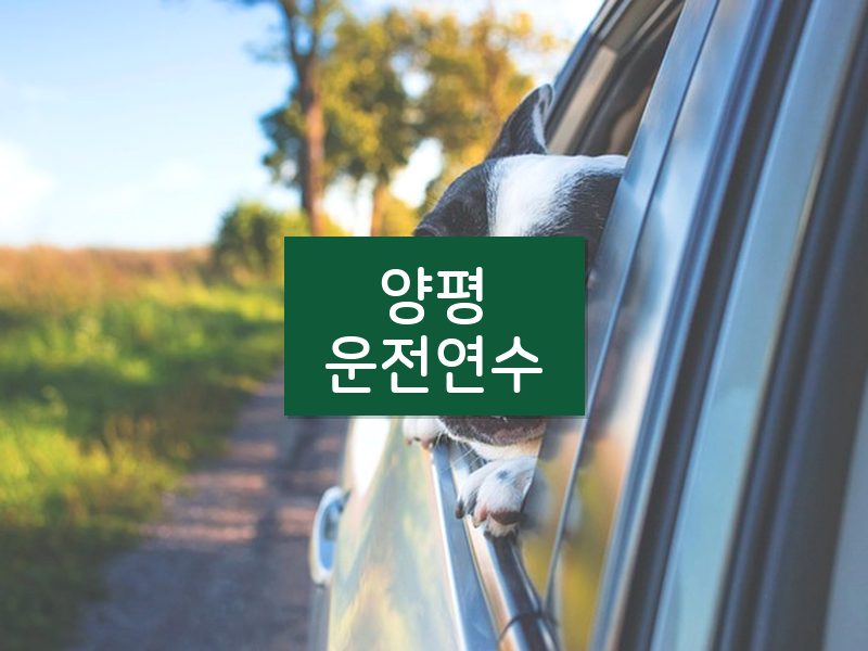 양평운전연수 후기