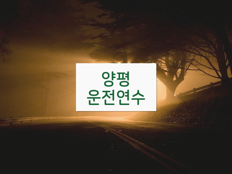 양평운전연수 후기