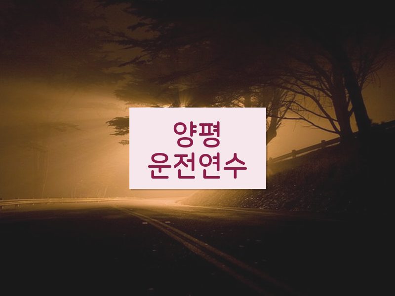 양평운전연수 후기