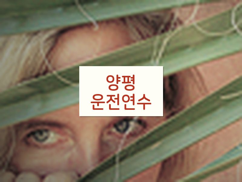 양평운전연수 후기