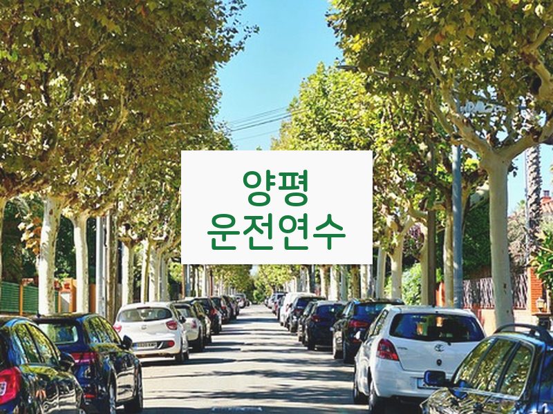 양평운전연수 후기