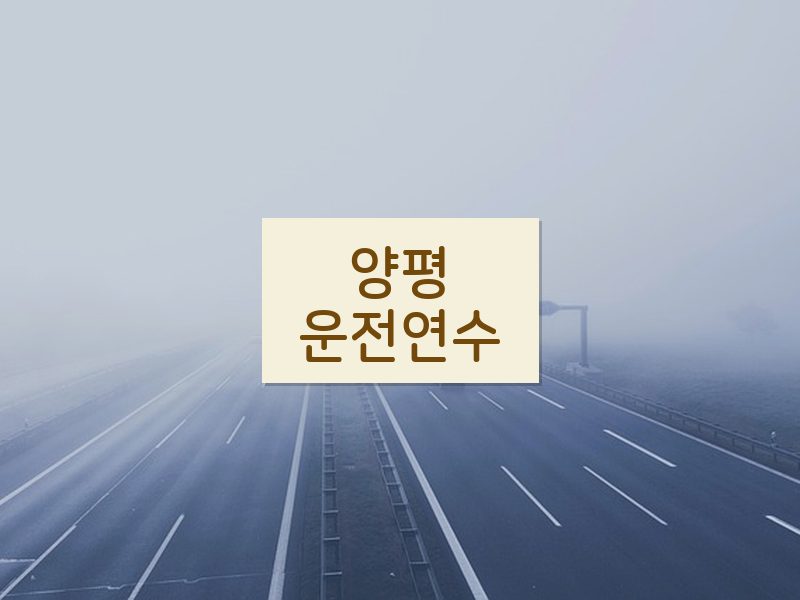양평운전연수 후기