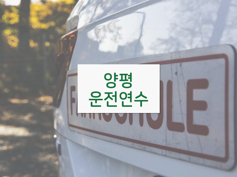 양평운전연수 후기