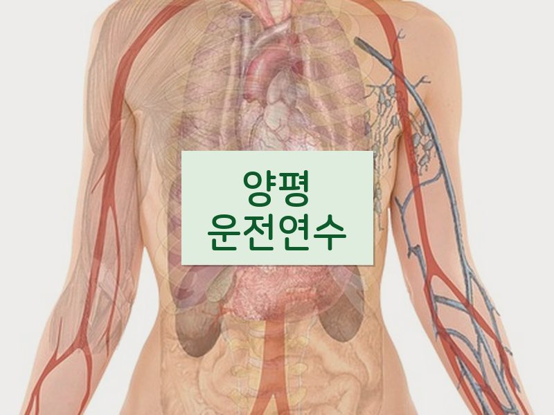 양평운전연수 후기