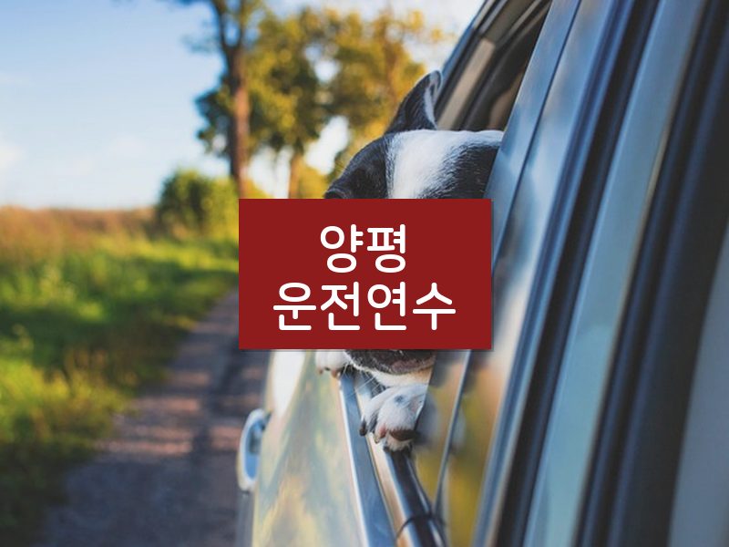 양평운전연수 후기