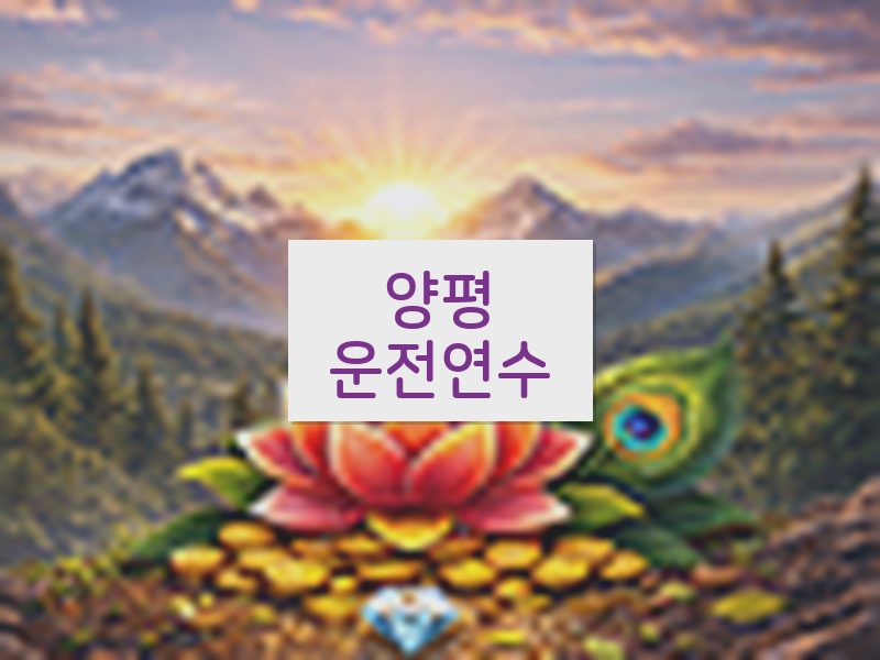 양평운전연수 후기