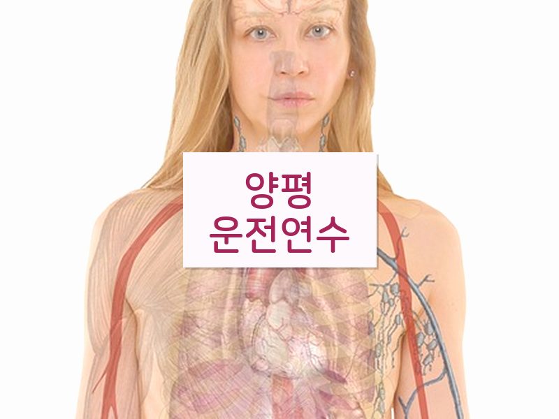 양평운전연수 후기