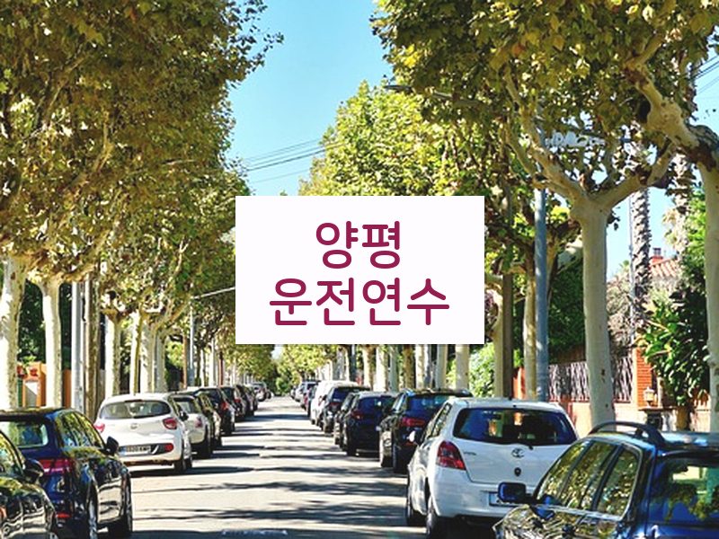 양평운전연수 후기