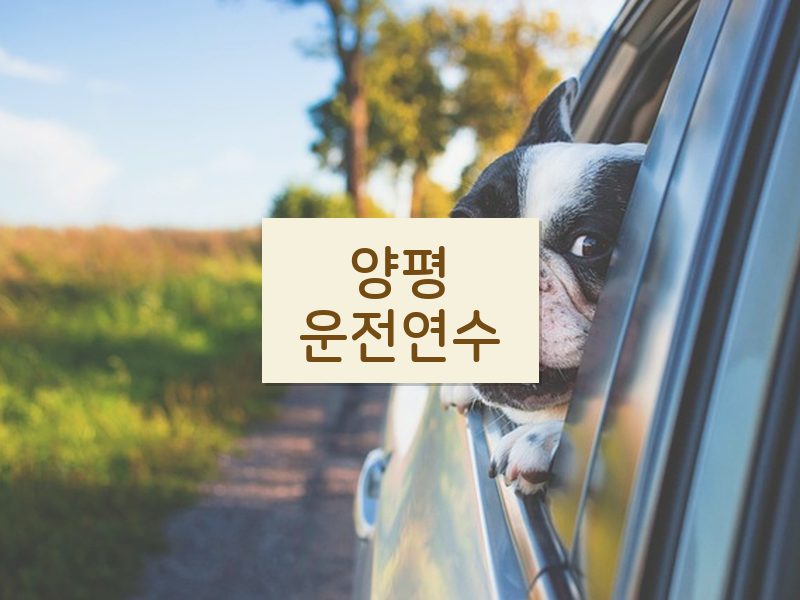 양평운전연수 후기