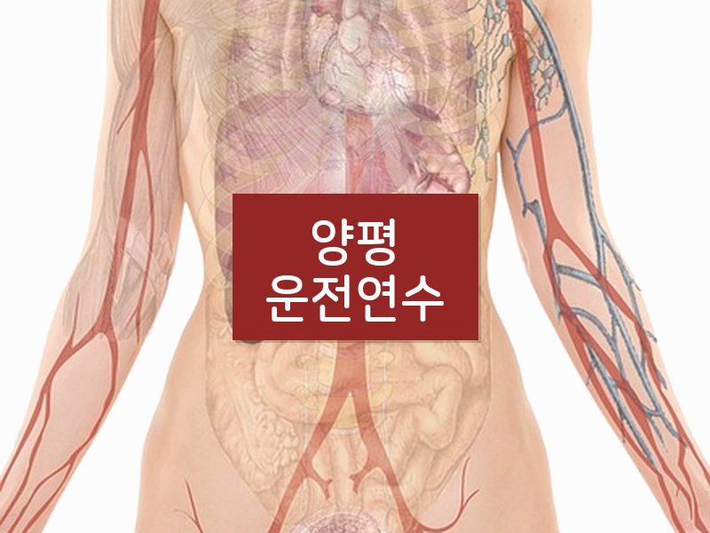 양평운전연수 후기