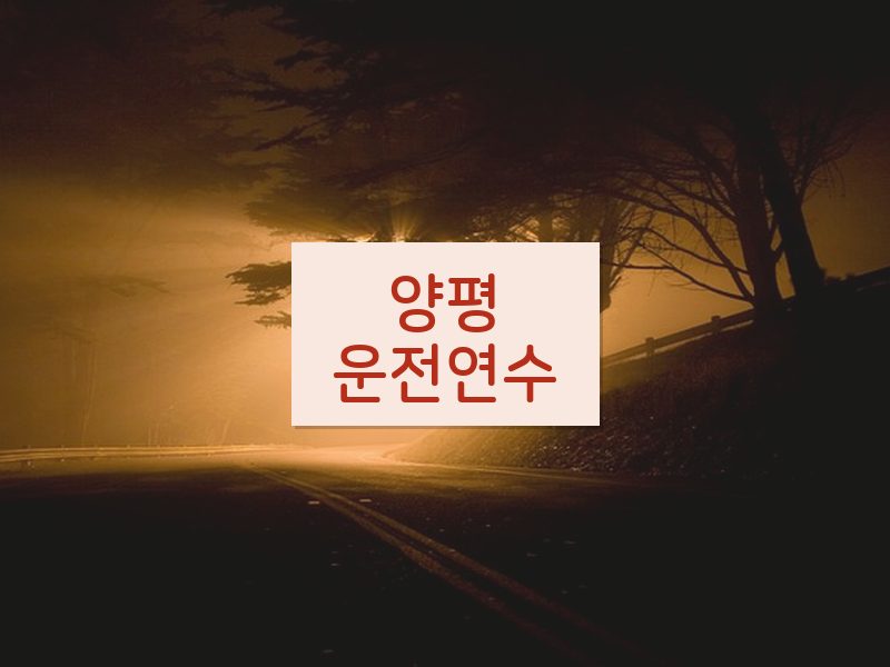 양평운전연수 후기