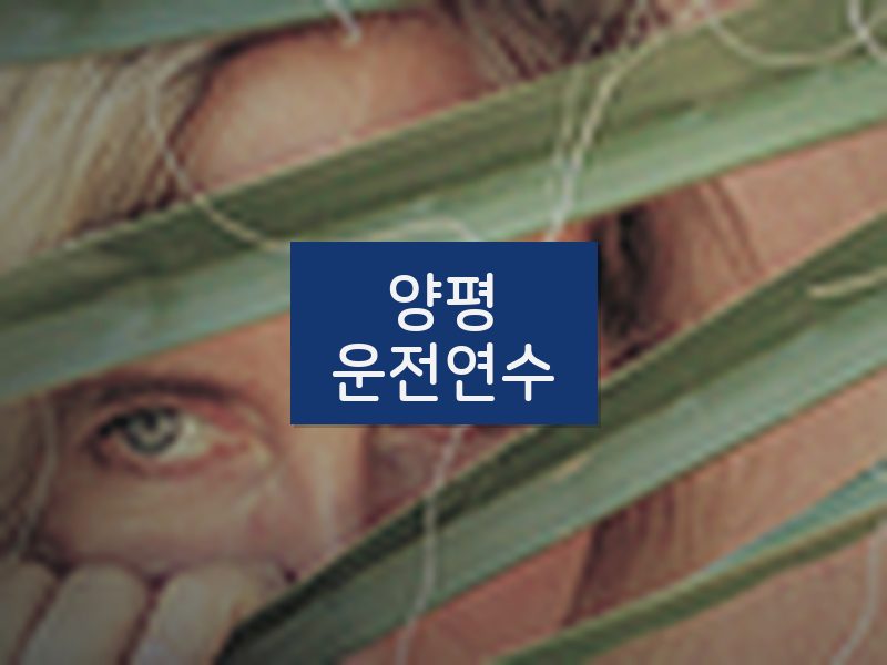 양평운전연수 후기