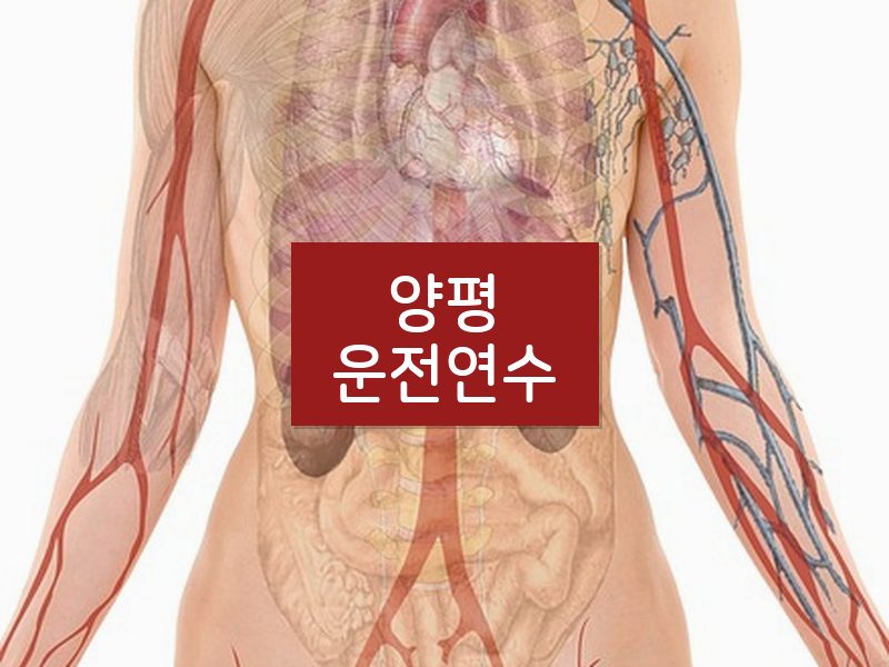 양평운전연수 후기