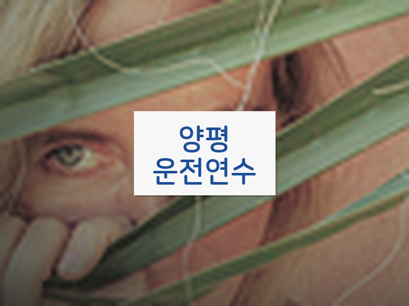양평운전연수 후기