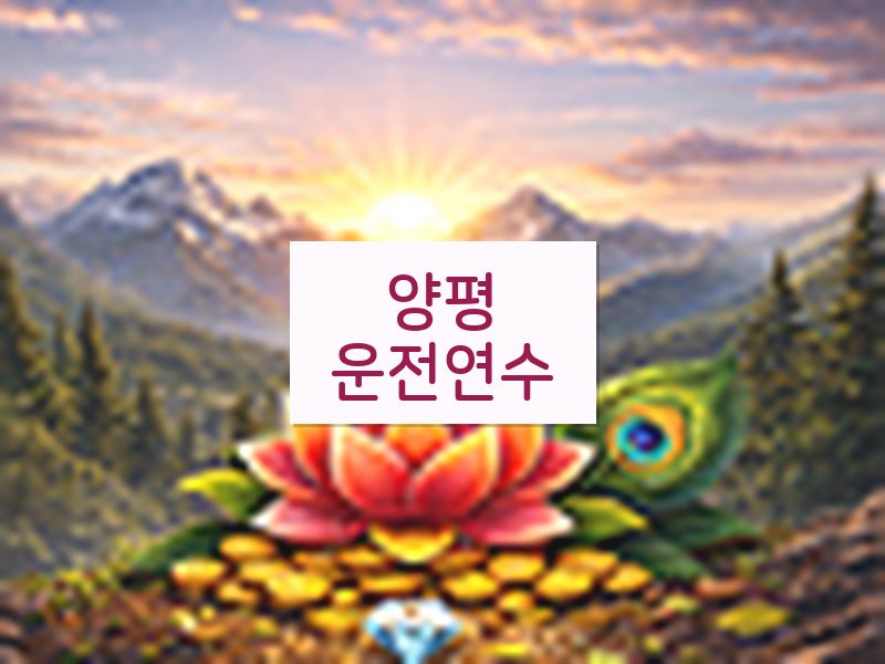 양평운전연수 후기