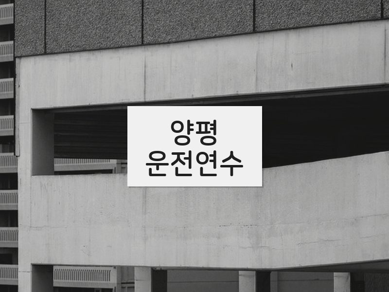 양평운전연수 후기