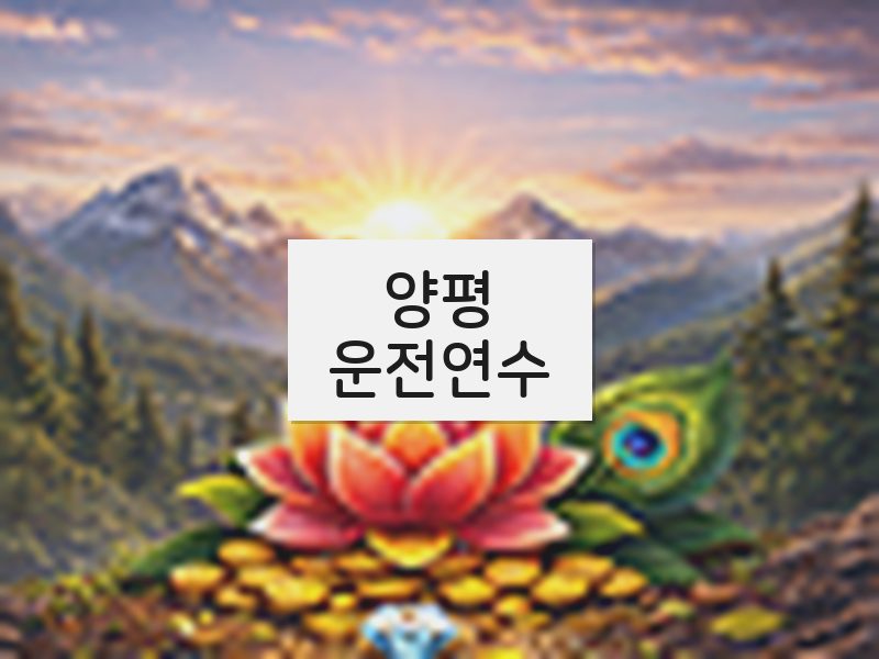 양평운전연수 후기