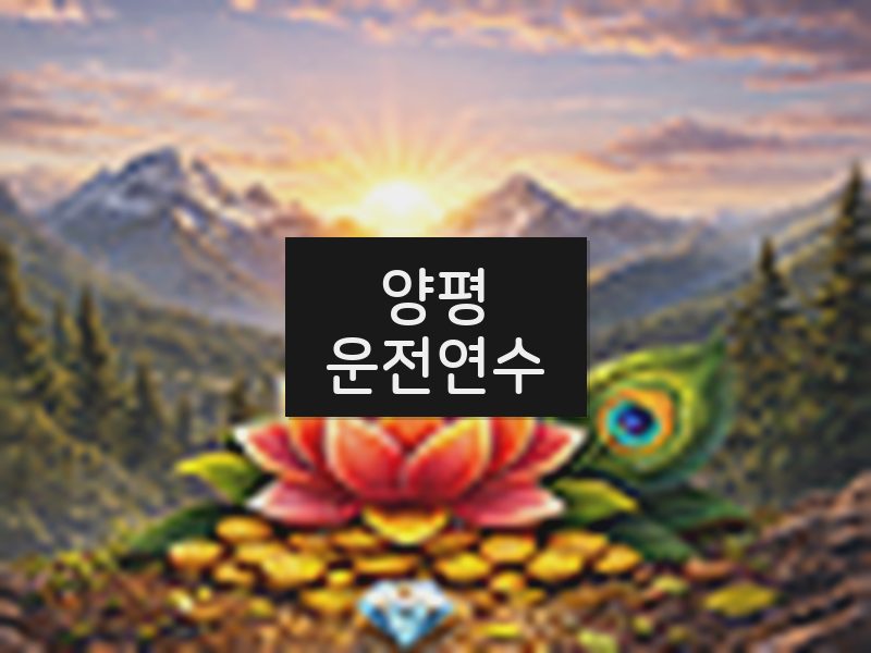 양평운전연수 후기