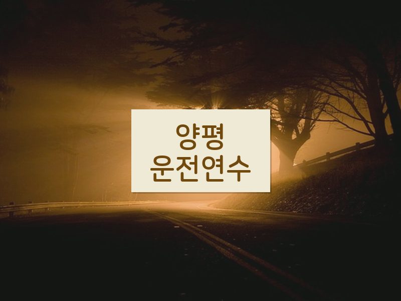 양평운전연수 후기