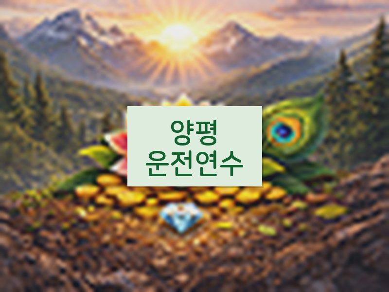 양평운전연수 후기