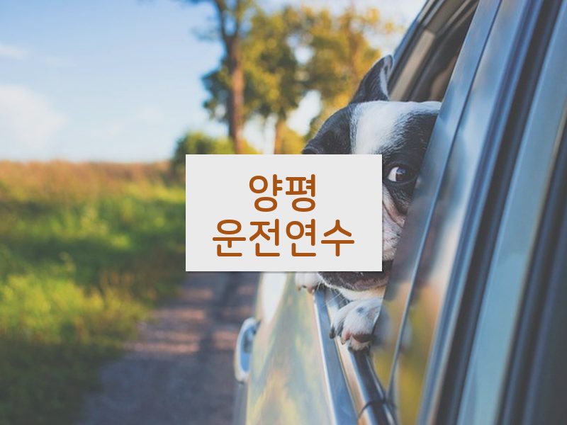 양평운전연수 후기