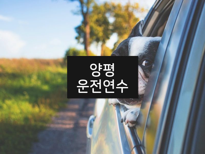 양평운전연수 후기