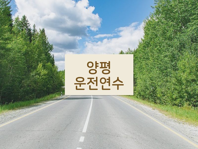 양평운전연수 후기