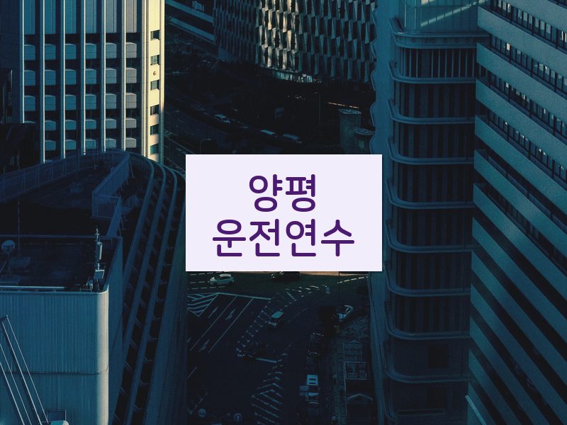 양평운전연수 후기