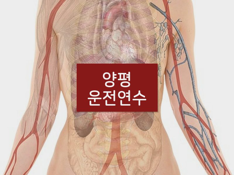 양평운전연수 후기