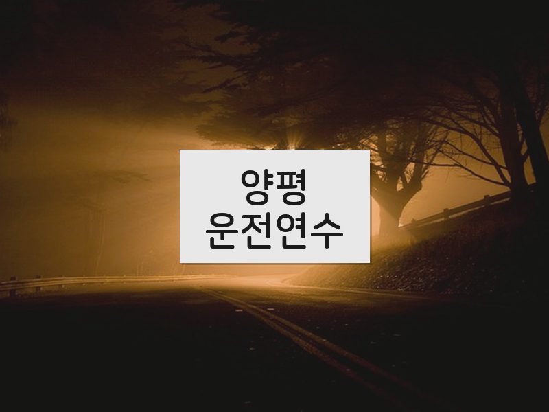 양평운전연수 후기