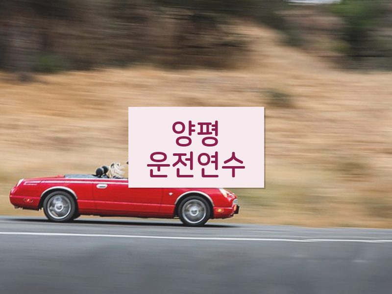 양평운전연수 후기