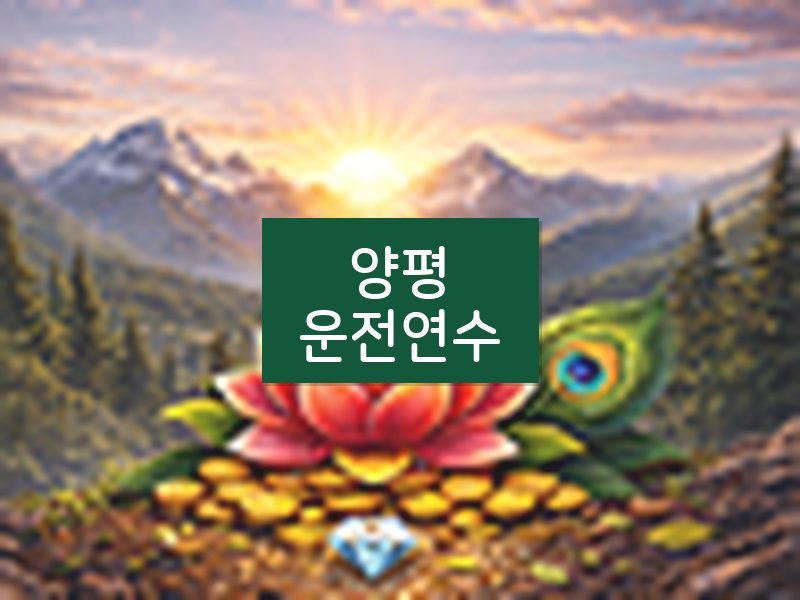 양평운전연수 후기