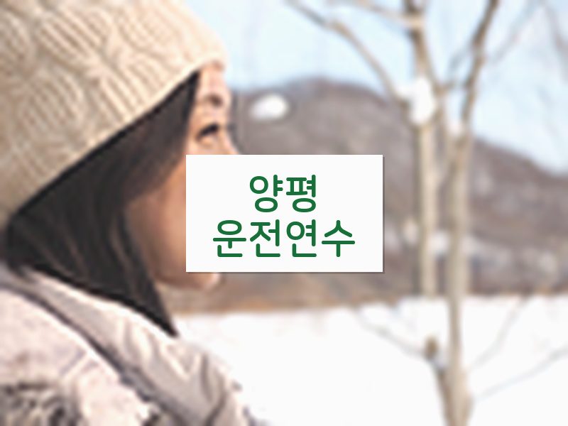 양평운전연수 후기