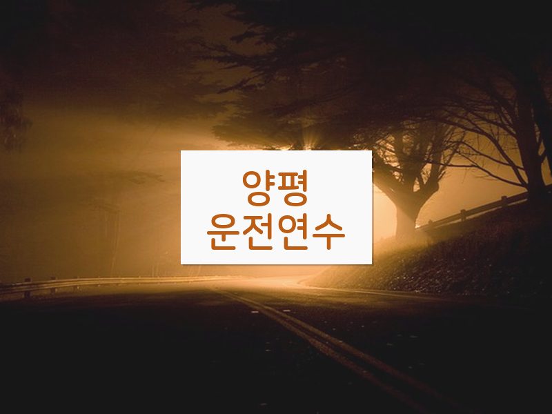 양평운전연수 후기